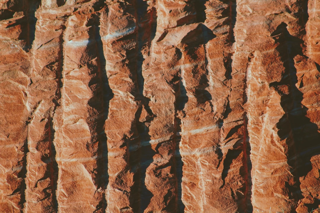 Kürbis – Mehr als nur Herbstdekoration