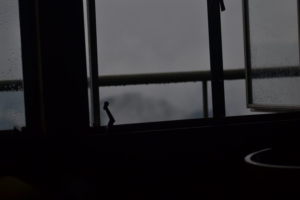 Fruchtige Verführung: raffinierte Brombeermarmelade für Genießer