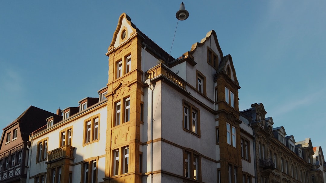 Ohrenkneifer Hotel: Ein Zuhause für nützliche Insekten im Garten
