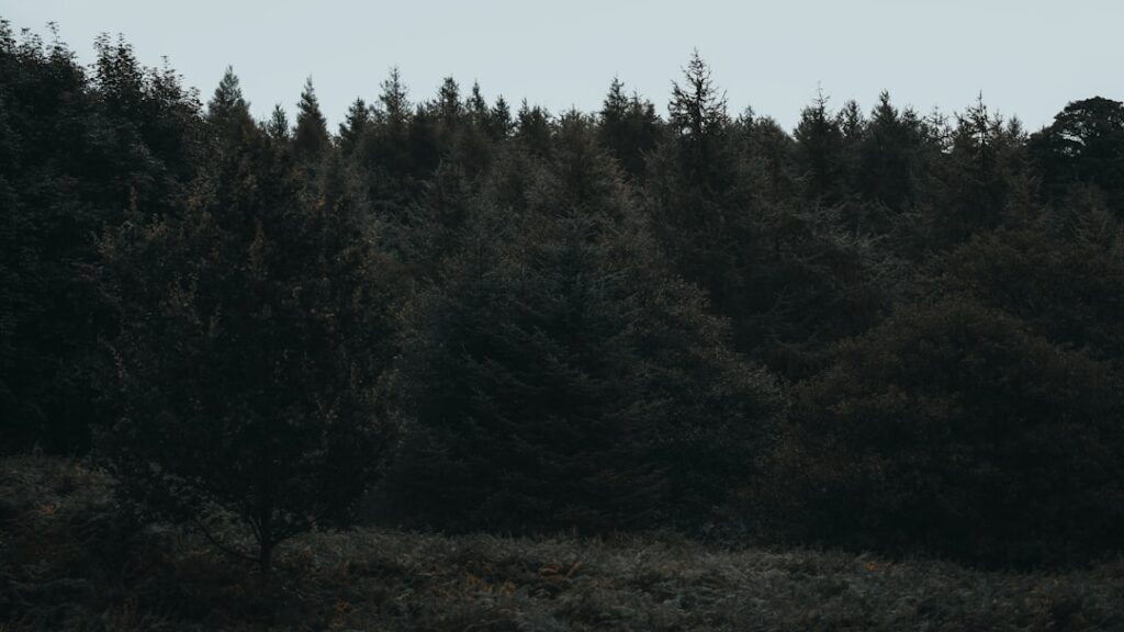 Das Leben von Kasia Lenhardt und die Bedeutung ihres Kindes