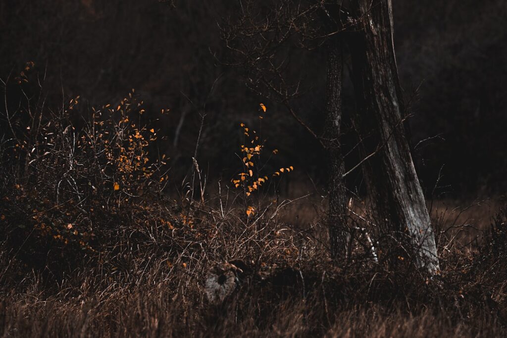 Abschied von einer Musiklegende: Nana Mouskouri verstorben